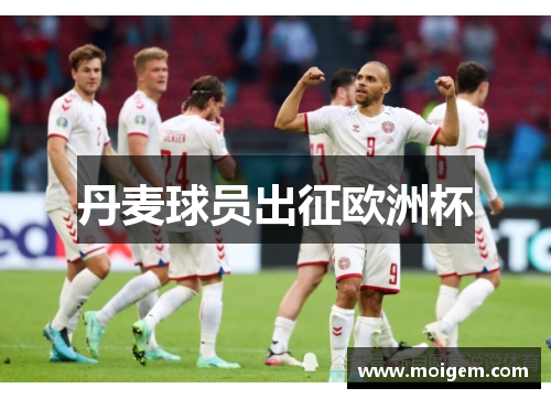 丹麦球员出征欧洲杯